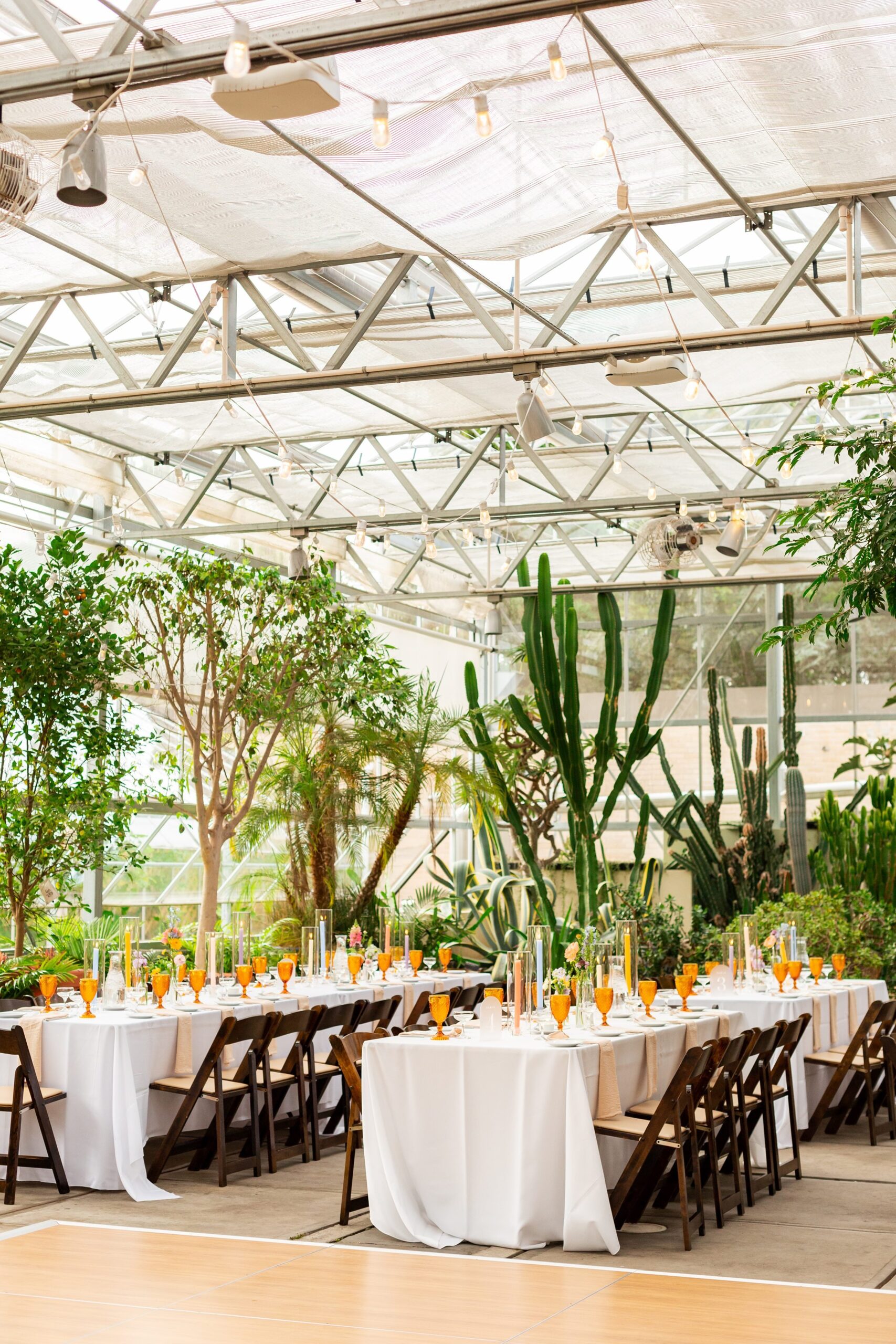 Providence RI Wedding at Roger Williams Botanical Center37.jpg